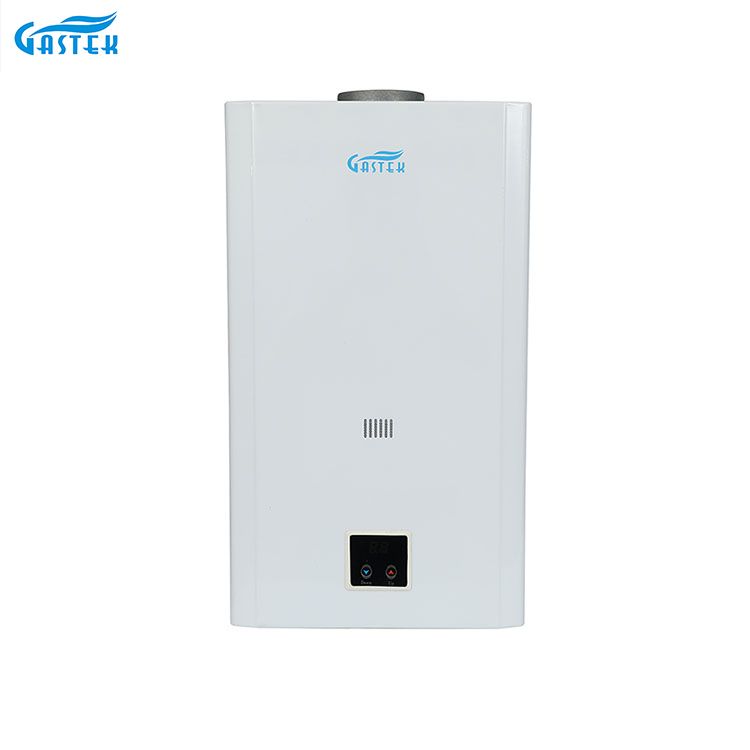 一定温度 10L 12L 16L 18L 煙道タイプ LCD パネル壁掛けタンクレスインスタント LPG シャワー用天然温水ガス間欠泉